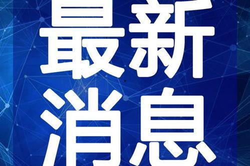 老挝录音爆料视频大全最新,视频大全背后的惊人真相