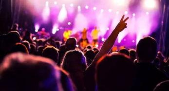 失重音乐节最新爆料